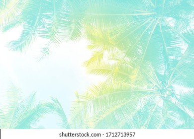 Abstract Summer concept background, Coconut tree background with vintage filter, summer holiday background