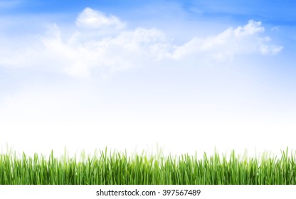 Abstract sunny spring background with grass and sky with clouds
