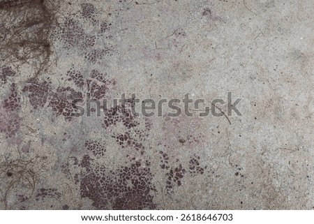 an abstract surface texture of smooth brown concrete stone with sand unevenly scattered on the surface 