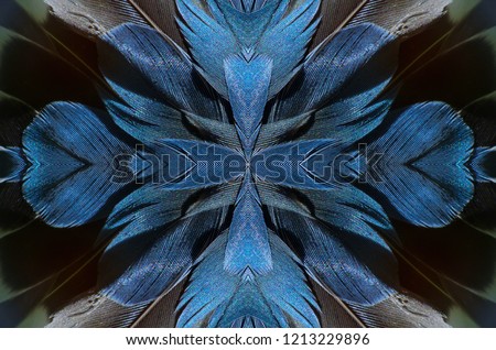 Abstract symmetric pattern of blue, grey and black feathers of wild duck close-up as background. The texture of the wing feathers. The image with mirror effect. Kaleidoscopic abstract pattern