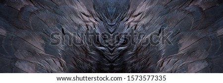 Abstract symmetric pattern of brilliant dark feathers of the wing common coot as background close-up. Ornamental surreal tracery of bird feathers. The image with mirror effect.