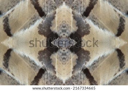 Abstract symmetric pattern of feathers of owls close-up as background. The texture of the wing feathers of the owl. Macro of multicolor feathers of a owl. The image with mirror effect.
