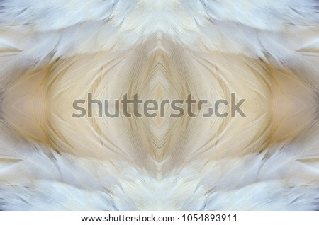Abstract symmetric pattern of feathers of wild duck close-up as background. Macro of the brown feathers of a duck. An ornamental surreal tracery of bird feathers. The image with mirror effect.