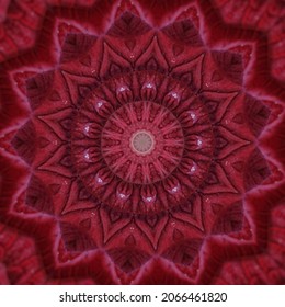 Abstract symmetrical patterns are suitable for use as backgrounds and wallpapers. An image with a mirror effect from a photo and has diverse and beautiful colors. kaleidoscopic abstract pattern.