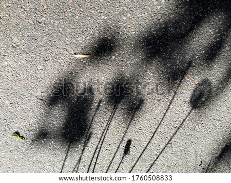 Similar – Image, Stock Photo Shadow of the Tree Summer