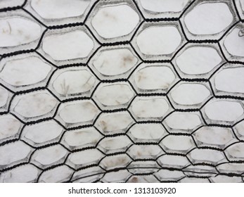 abstract texture background