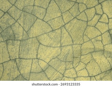An abstract texture background of a cracked surface. The fine network of crazing on the faded, yellowish-green paint creates a pattern resembling dry earth or old ceramic glaze