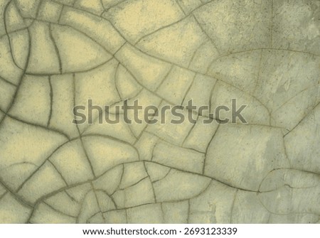 An abstract texture background of a cracked surface. The fine network of crazing on the faded, yellowish-green paint creates a pattern resembling dry earth or old ceramic glaze