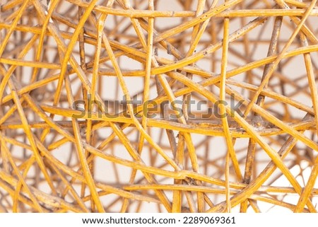 Abstract texture background of weave net dry vine yellow clinging dust. Background is blurred gray concrete wall and shadow sunlight. Use is house wall or website wallpaper. Can be used as model.