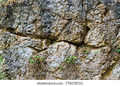 abstract texture bumpy stone a surface for a background