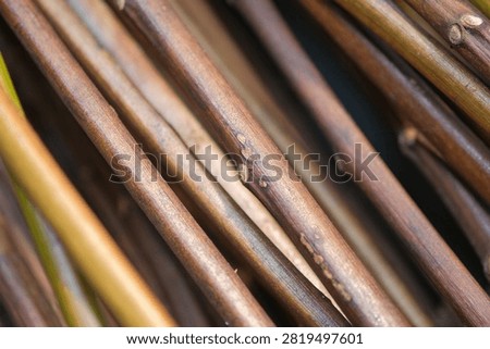 Abstract texture of diagonal thin brown tree branches