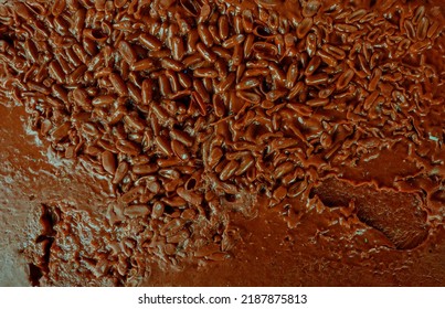 Abstract Texture From Gelatin Capsules. Medicine, Healthcare Or Pharmacy Concept. Waste Production Of Gelatin Capsules Close-up.