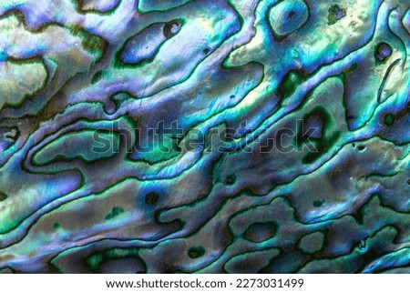 The abstract texture of Haliotis iris also known as paua abalone or ormer shell