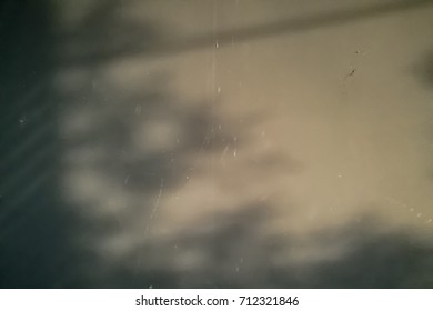 Abstract texture of Tree leaves shadow on grey wall background