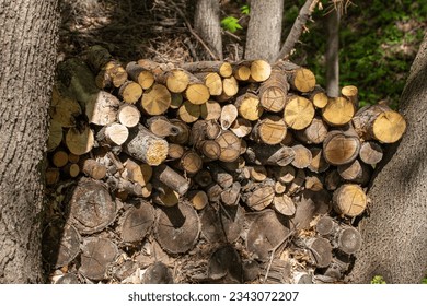 Abstract texture view of a stack of cut wooden tree logs piled between trees in a woodland area incline, with dappled sunlight