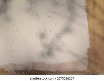 Abstract textured background of old cracked painted weathered steet wall with shadows tree branches