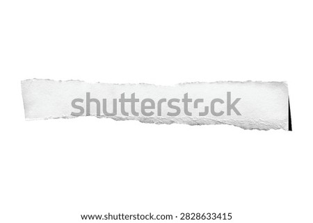 Abstract textured white paper scroll with irregular edges against plain background with creating organic abstract texture against stark white backdrop showcases single elongated
