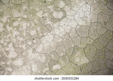 Abstract Textures Of Dried Out Lake In Europe During Drought Season