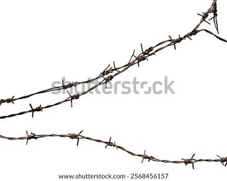Abstract Three barbed wire isolated element