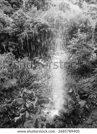 Abstract top-down view of a waterfall in black and white. Water streaks appear like vertical lines against the textured forest below, creating a surreal, painterly nature scene.