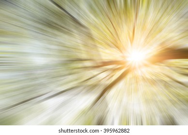 Abstract Tree Branch In Motion Blur