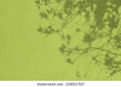 Abstract tree branches and leaves shadows on olive green concrete wall texture. Abstract trendy nature concept background. Copy space for text overlay, poster mockup flat lay  - Shutterstock ID 2230517557