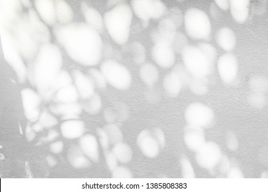 Abstract tree and leaves shadow background with light bokeh,  arts of natural leaves tree branch pattern falling on white wall texture for background and wallpaper, black and white monochrome tone