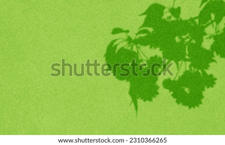 Abstract tree natural branches shadows on green wall texture.