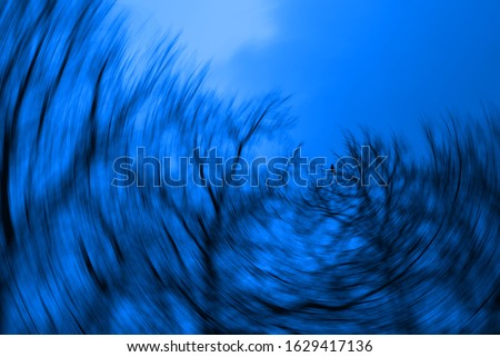 Abstract tree silhouettes with radial blur. Concept of a nightmare