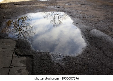 Abstract trees reflections into water puddle on grey asphalt street road spring season concept