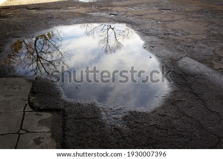 Abstract trees reflections into water puddle on grey asphalt street road spring season concept