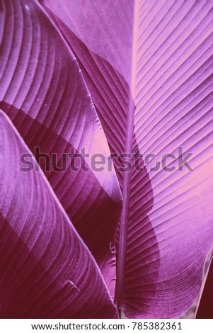 Abstract tropical background retro toned. Vintage background. Travel card. Soft focus