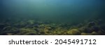 abstract underwater background in the lake, clean freshwater