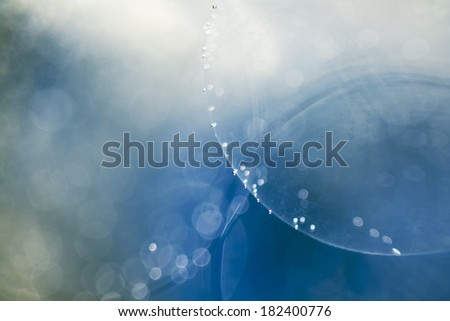 Similar – Image, Stock Photo Lavender BLUE