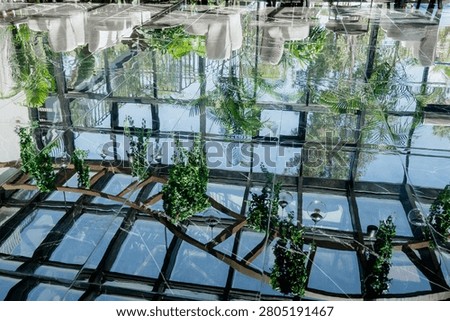 Abstract upside down reflection on polished black marble floor of a modern biophilic greenhouse cafe with glass ceiling roof frames and hanging ivy plants