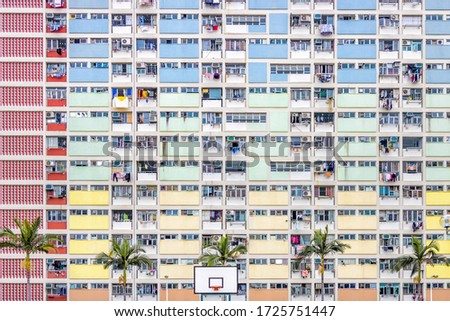 Abstract View of Dense Rainbow Coloured Housing with Palm Trees on Summers Day in Hong Kong