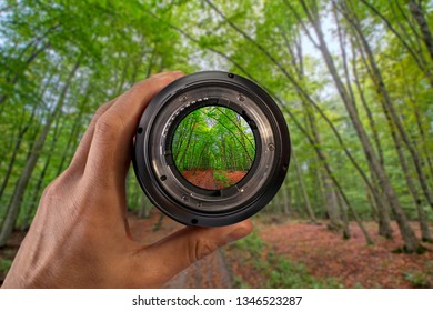 Abstract view to the green forest through the camera lens in photographer's hand against the blurred trees. Concept of photography and photo equipment - Powered by Shutterstock