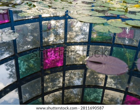 Abstract view looking up at a dark grid architectural structure featuring a single vivid magenta stained glass panel and green lily pads above. The scene represents minimalist contrast, bold color accents, geometric lines, modern design, and conceptual conceptualization.