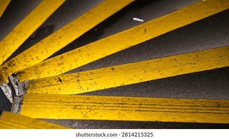 An abstract view looking down on steps marked with bold yellow stripes. Green leaves of pothos plants, Epipremnum aureum, add a touch of nature. The bright lines create an eye-catching pattern.