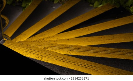 An abstract view looking down on steps marked with bold yellow stripes. Green leaves of pothos plants, Epipremnum aureum, add a touch of nature. The bright lines create an eye-catching pattern.