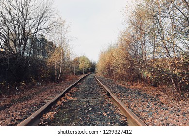 Abstract view of railway tracks with winter trees shedding leaves