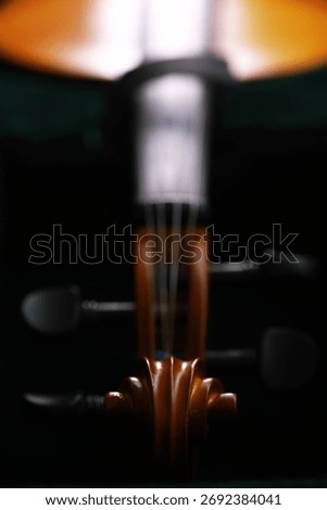 Abstract View of a Violin: Close-up of Strings and Scroll in Artistic Light