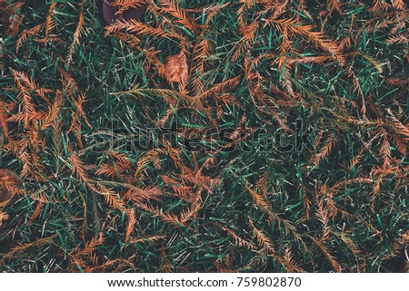 Abstract Vintage Fall Orange Brown Leaf Stock Photo Edit Now