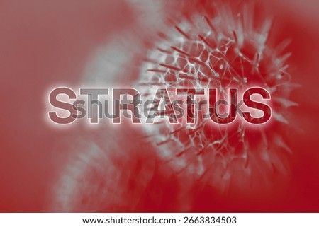 An abstract visualization of a coronavirus named stratus. This image, perfect for a news report on the 2025 epidemic, captures the microscopic virus and its global impact.