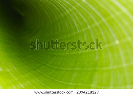 Similar – Image, Stock Photo flytrap III Plant