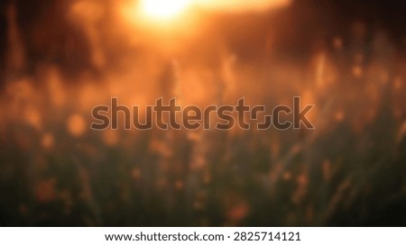 Abstract warm glowing light effect with bokeh and blurred background, creating a dreamy and ethereal atmosphere.