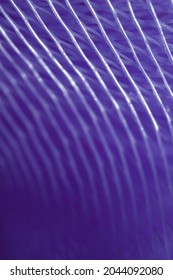 Abstract wave shape. Defocus line. Motion background. Colorful backdrop.