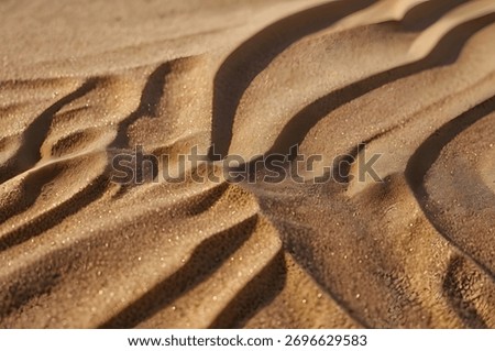 Abstract Wavy Patterns of Desert Sand Dunes