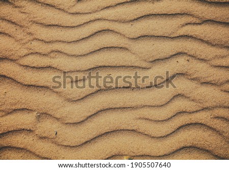 Abstract wavy sandy background. Texture of sand in desert or on the beach