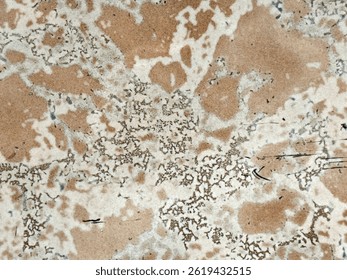 Abstract weathered stone texture with natural patterns and earth tones. - Powered by Shutterstock - Get 15% off with code: PIKWIZARD15